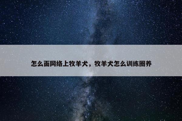怎么面网络上牧羊犬,牧羊犬怎么训练圈养