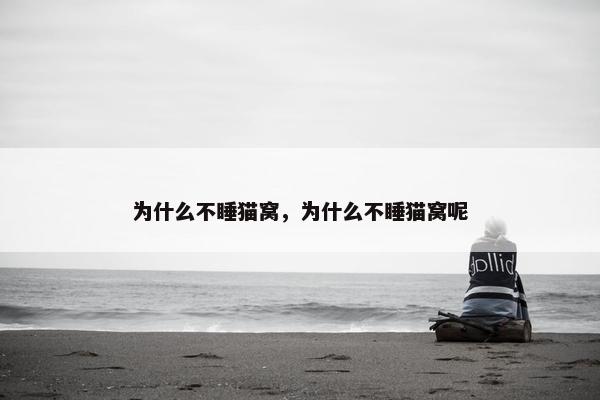 为什么不睡猫窝，为什么不睡猫窝呢