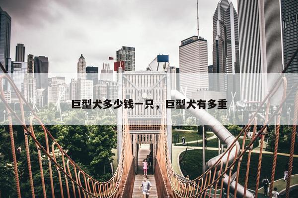 巨型犬多少钱一只，巨型犬有多重