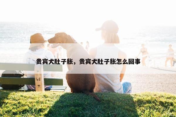 贵宾 第8页