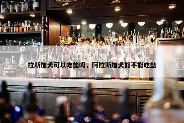 拉斯加犬可以吃盐吗，阿拉斯加犬能不能吃盐