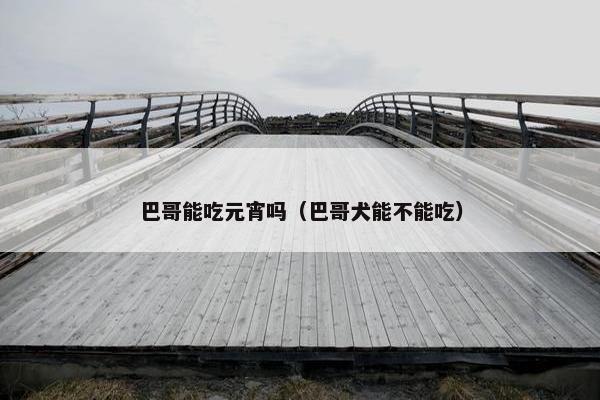 巴哥能吃元宵吗（巴哥犬能不能吃）