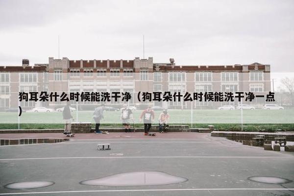 狗耳朵什么时候能洗干净（狗耳朵什么时候能洗干净一点）