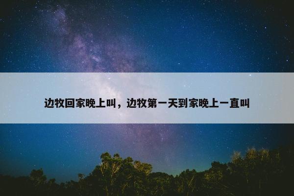 边牧回家晚上叫,边牧第一天到家晚上一直叫
