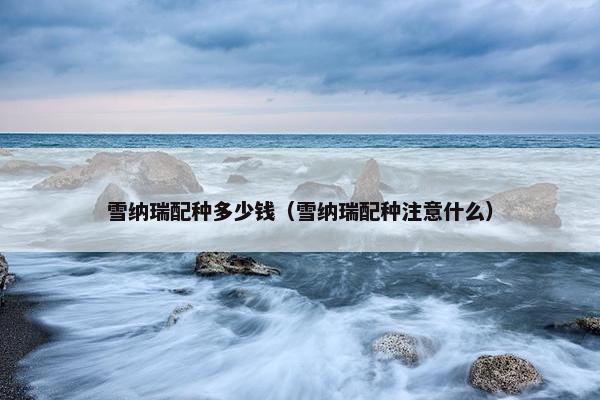雪纳瑞配种多少钱（雪纳瑞配种注意什么）