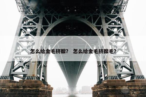 怎么给金毛挤腺？ 怎么给金毛挤腺毛？