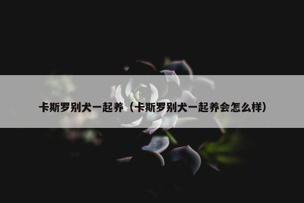 卡斯罗别犬一起养（卡斯罗别犬一起养会怎么样）
