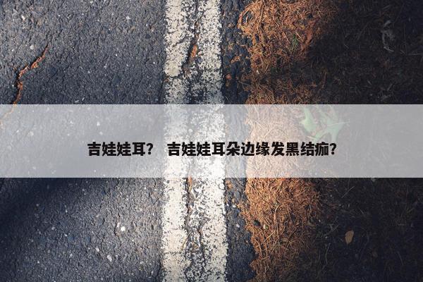 完全