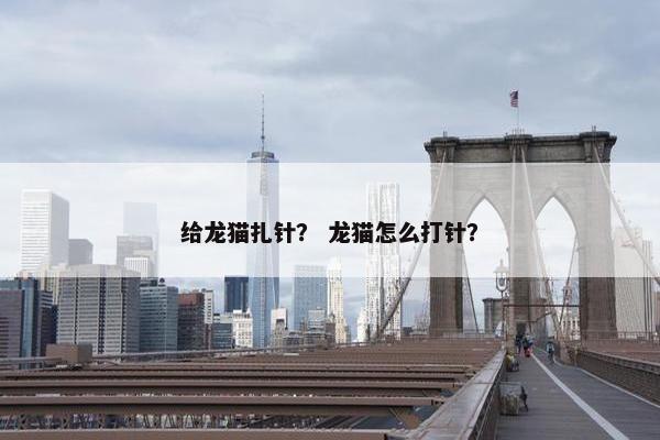 给龙猫扎针？ 龙猫怎么打针？