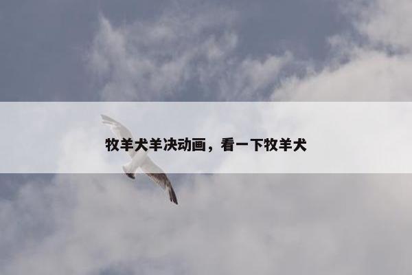 牧羊犬羊决动画，看一下牧羊犬