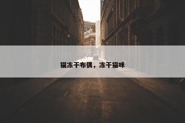 猫冻干布偶，冻干猫咪