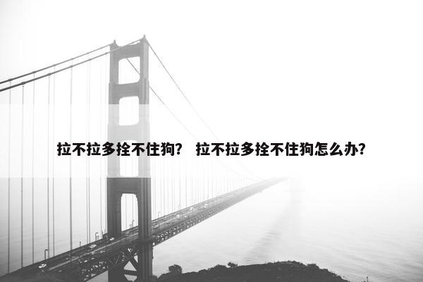 拉不拉多拴不住狗？ 拉不拉多拴不住狗怎么办？