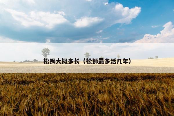 松狮大概多长（松狮最多活几年）