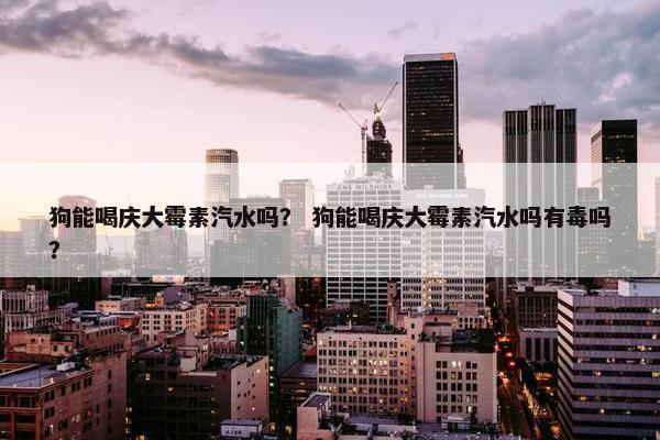 狗能喝庆大霉素汽水吗？ 狗能喝庆大霉素汽水吗有毒吗？