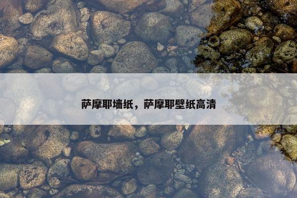 黑鲈