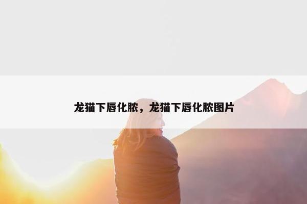 龙猫下唇化脓,龙猫下唇化脓图片