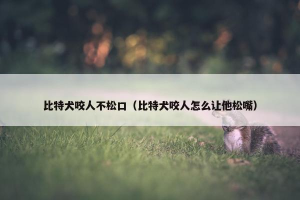 比特犬咬人不松口（比特犬咬人怎么让他松嘴）