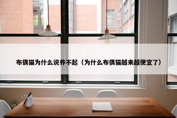 布偶猫为什么说养不起（为什么布偶猫越来越便宜了）