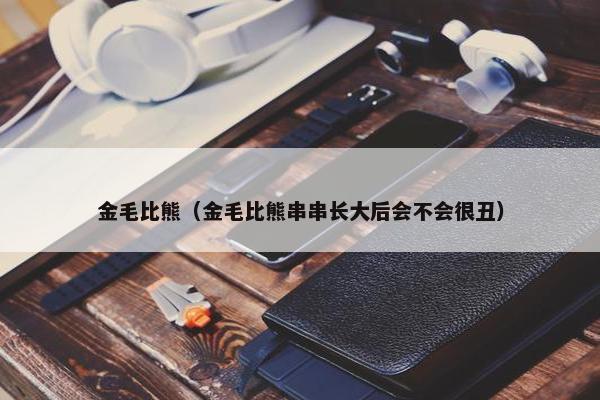 金毛比熊(金毛比熊串串长大后会不会很丑)