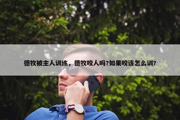德牧被主人训练,德牧咬人吗?如果咬该怎么训?