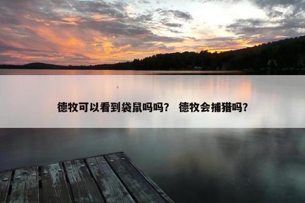 德牧可以看到袋鼠吗吗? 德牧会捕猎吗?