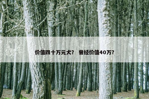 价值四十万元犬？ 曾经价值40万？