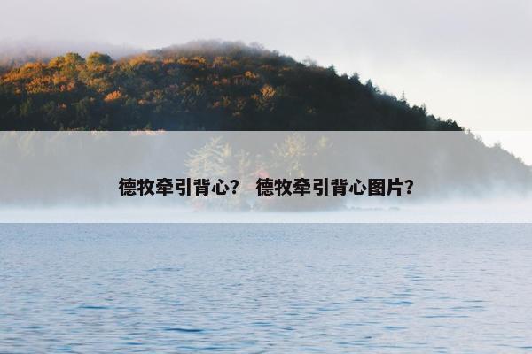 德牧牵引背心? 德牧牵引背心图片?
