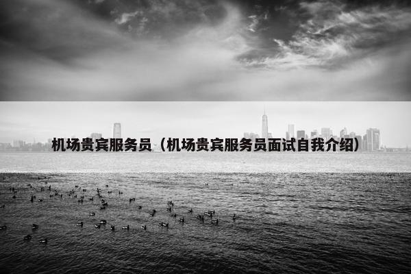 机场贵宾服务员（机场贵宾服务员面试自我介绍）