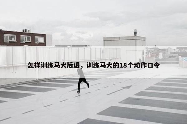怎样训练马犬后退，训练马犬的18个动作口令