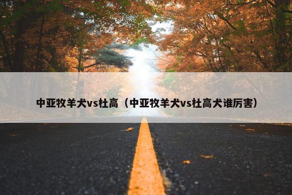 中亚牧羊犬vs杜高(中亚牧羊犬vs杜高犬谁厉害)