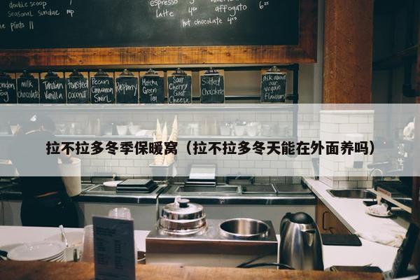 拉不拉多冬季保暖窝(拉不拉多冬天能在外面养吗)