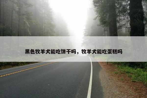 黑色牧羊犬能吃饼干吗,牧羊犬能吃蛋糕吗