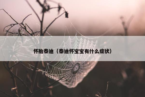 怀胎泰迪（泰迪怀宝宝有什么症状）
