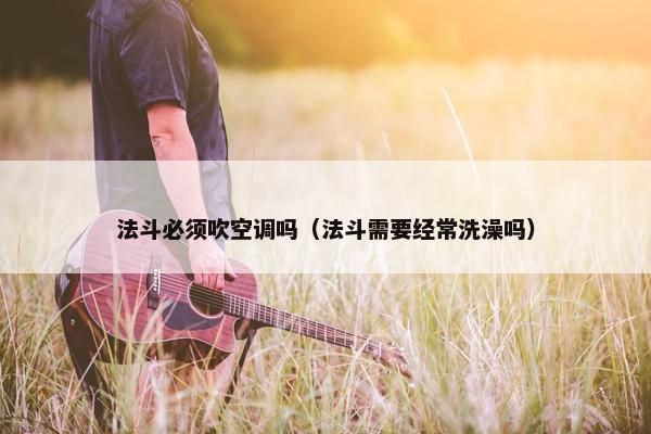 法斗必须吹空调吗（法斗需要经常洗澡吗）