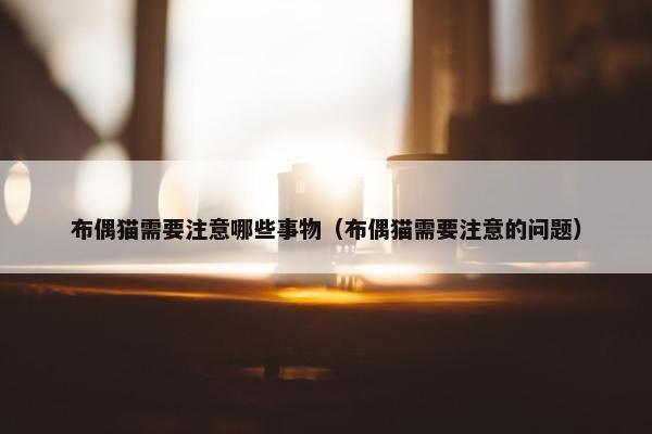 布偶猫需要注意哪些事物（布偶猫需要注意的问题）