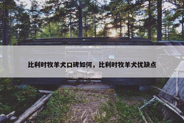 比利时牧羊犬口碑如何,比利时牧羊犬优缺点