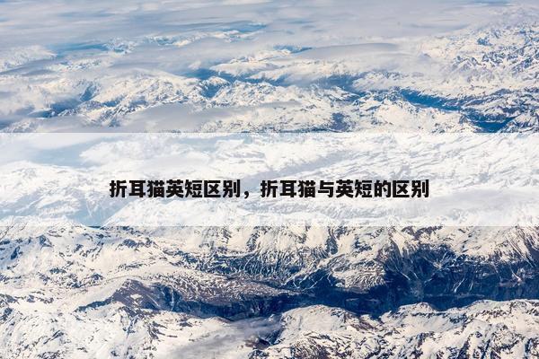 折耳猫英短区别，折耳猫与英短的区别