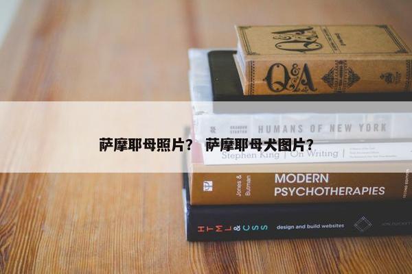 萨摩耶母照片？ 萨摩耶母犬图片？
