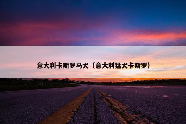 意大利卡斯罗马犬（意大利猛犬卡斯罗）