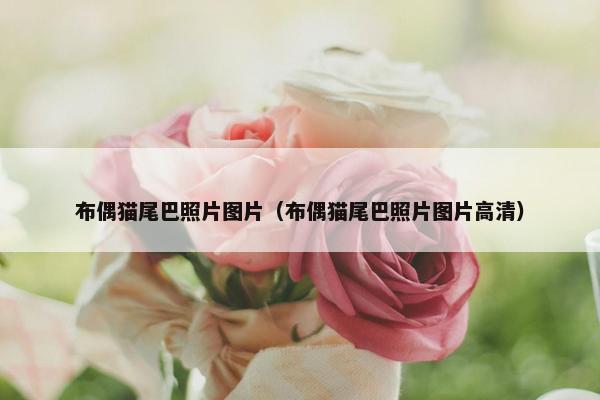 布偶猫尾巴照片图片（布偶猫尾巴照片图片高清）