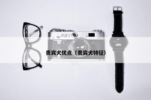贵宾犬优点(贵宾犬特征)