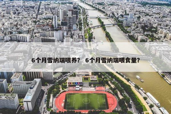 6个月雪纳瑞喂养？ 6个月雪纳瑞喂食量？