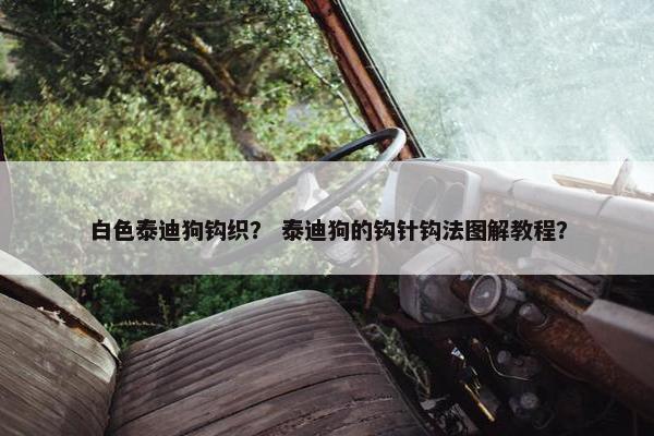 白色泰迪狗钩织？ 泰迪狗的钩针钩法图解教程？