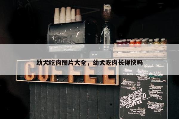 幼犬吃肉图片大全，幼犬吃肉长得快吗