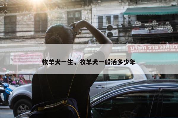 牧羊犬一生，牧羊犬一般活多少年