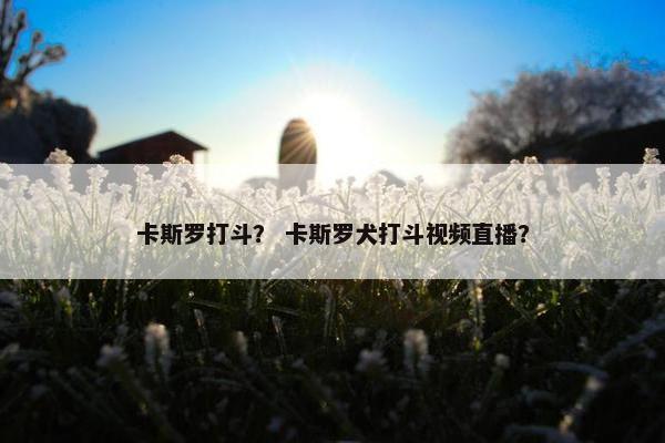 卡斯罗打斗？ 卡斯罗犬打斗视频直播？