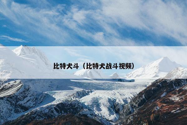 比特犬斗(比特犬战斗视频)
