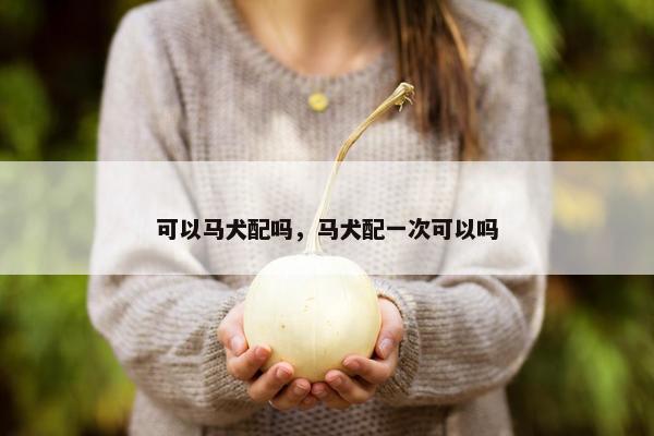 可以马犬配吗，马犬配一次可以吗