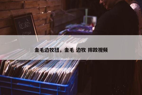 金毛边牧扭，金毛 边牧 摔跤视频