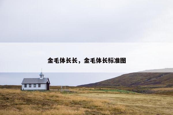 金毛体长长,金毛体长标准图